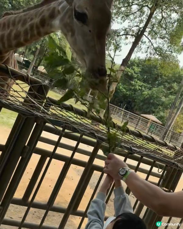 南寧市南寧動物園