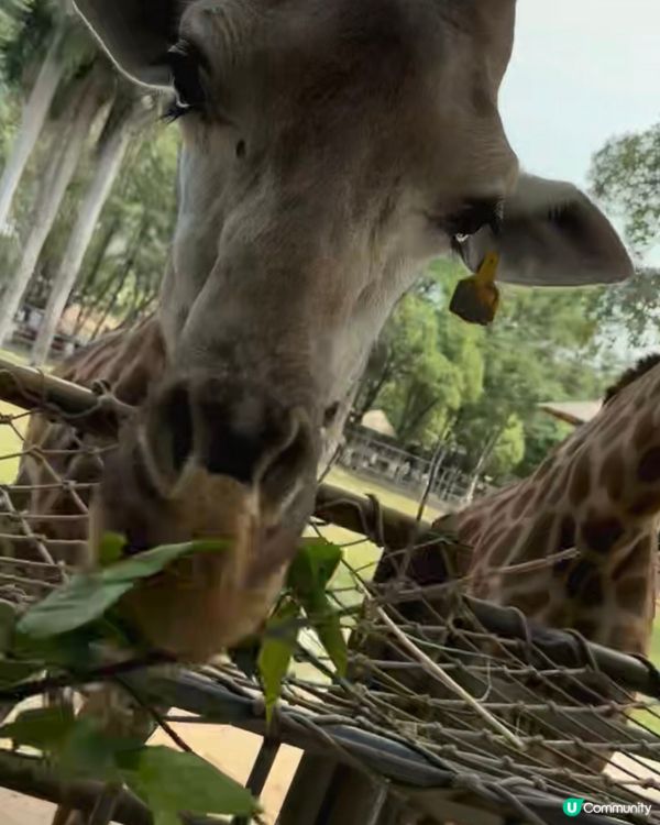 南寧市南寧動物園