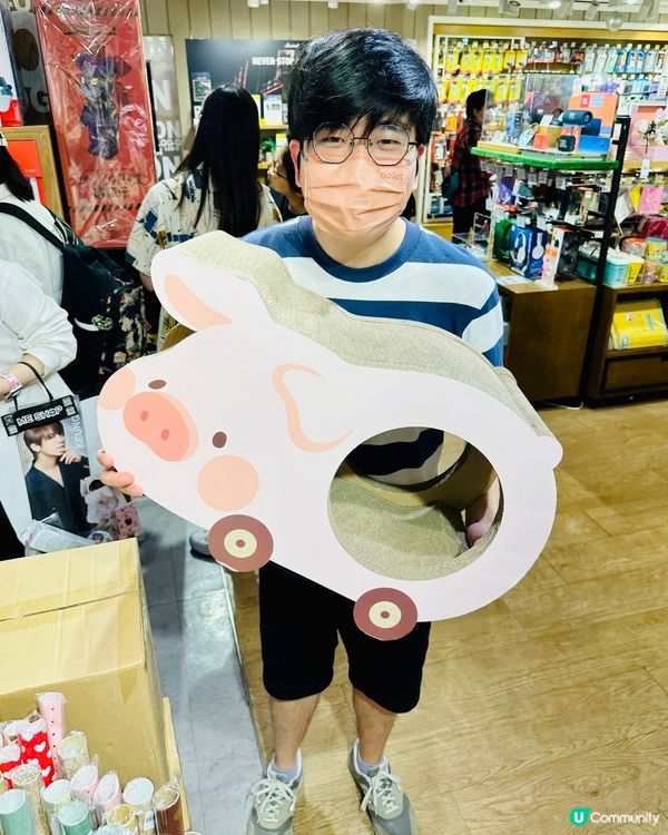 LOGON🐱貓抓板🐽罐頭豬LuLu 豬咪日常系列