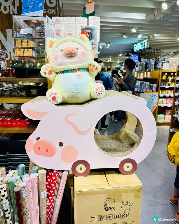 LOGON🐱貓抓板🐽罐頭豬LuLu 豬咪日常系列