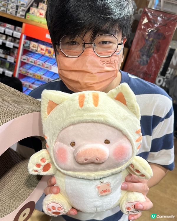 LOGON🐱貓抓板🐽罐頭豬LuLu 豬咪日常系列