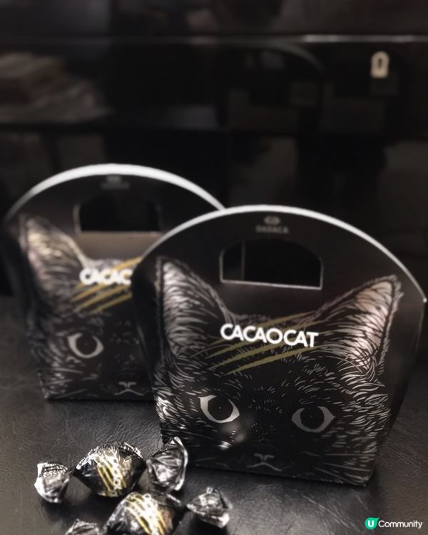 日本北海道 Cacaocat 貓貓軟心黑朱古力 