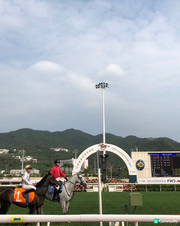 50元包入場三文治及橙汁，Anson Lo 表演