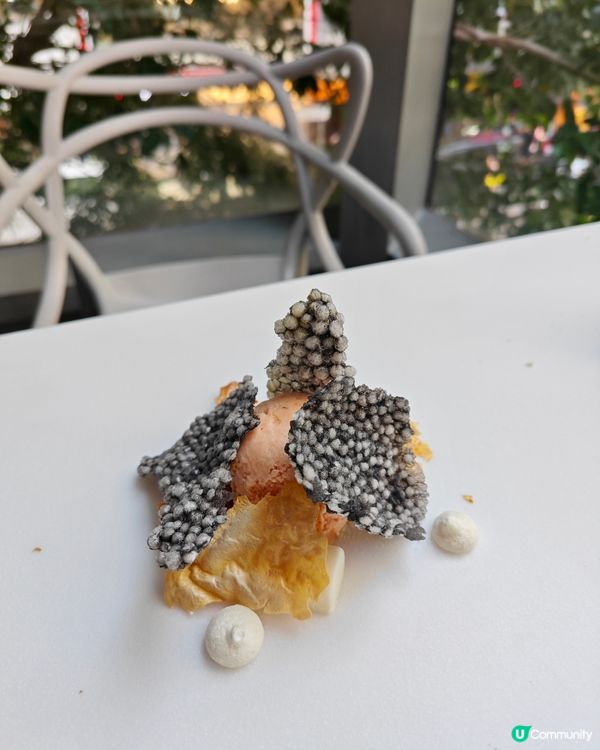 藏在尖沙咀K11購物藝術館裡的一間西餐廳💗這裏把美食融入藝術...