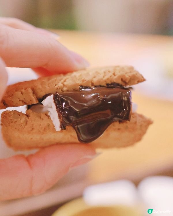 🏕️鬧市中最強儀式感華麗Camping✨