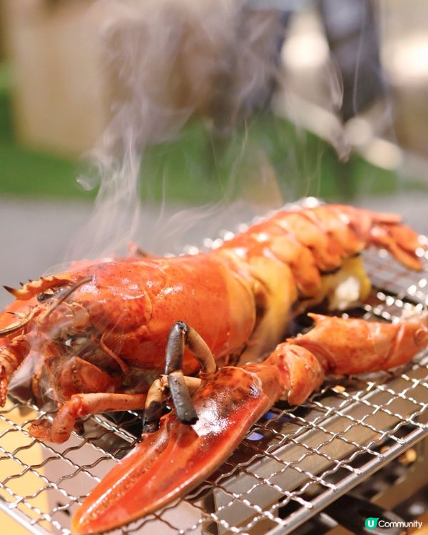 🏕️鬧市中最強儀式感華麗Camping✨