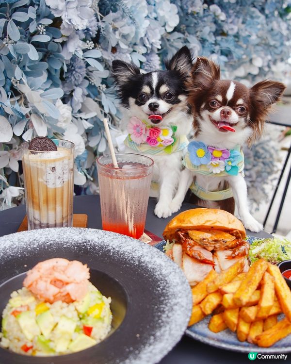 勁靚藍白花花牆