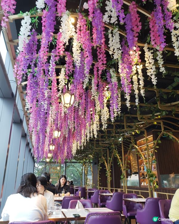 💜紫藤花的約會💜