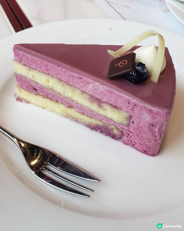 💜紫藤花的約會💜