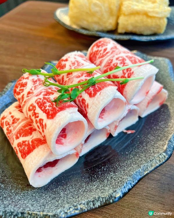 台式火鍋～養生無老鍋🍲🍲🍲