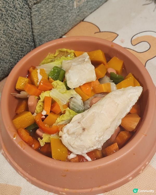 寵物鮮食好處多多🐶養成健康強壯的狗寶寶