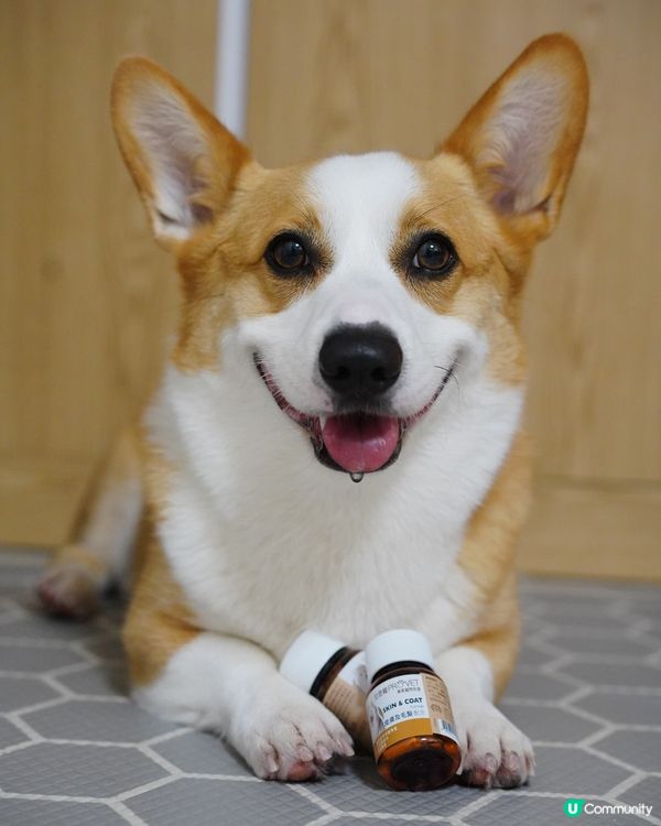 藥箱都變成手飾箱🤣