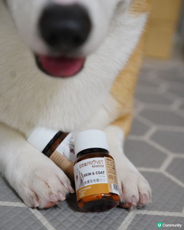 藥箱都變成手飾箱🤣