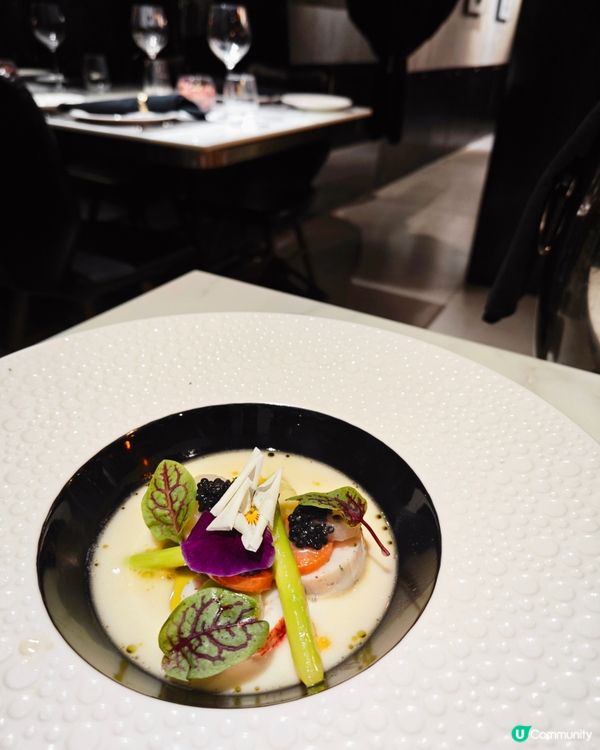 去咗尖沙咀呢間西餐廳Fine Dining 一下💗依到無論環...