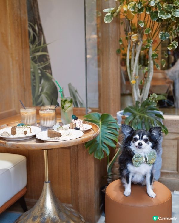 🌿ᴛᴀsᴛᴇs & ᴛᴀʟᴇs🌿