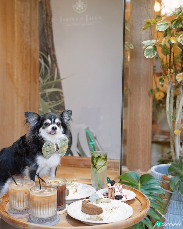 🌿ᴛᴀsᴛᴇs & ᴛᴀʟᴇs🌿