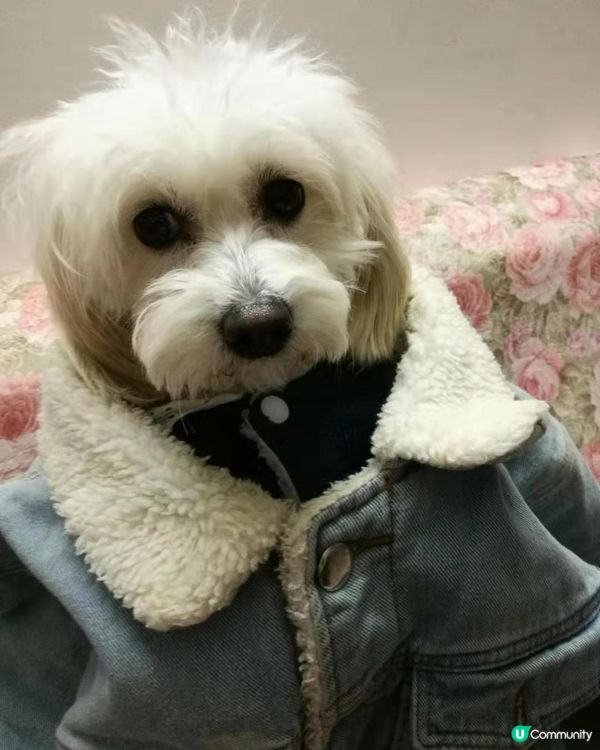 我的寶貝叫笨笨，好可愛，確實是個笨小孩