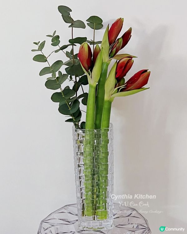 今日勁好彩，見到紅色美美朱頂蘭，又係亂插一通😝美嗎？