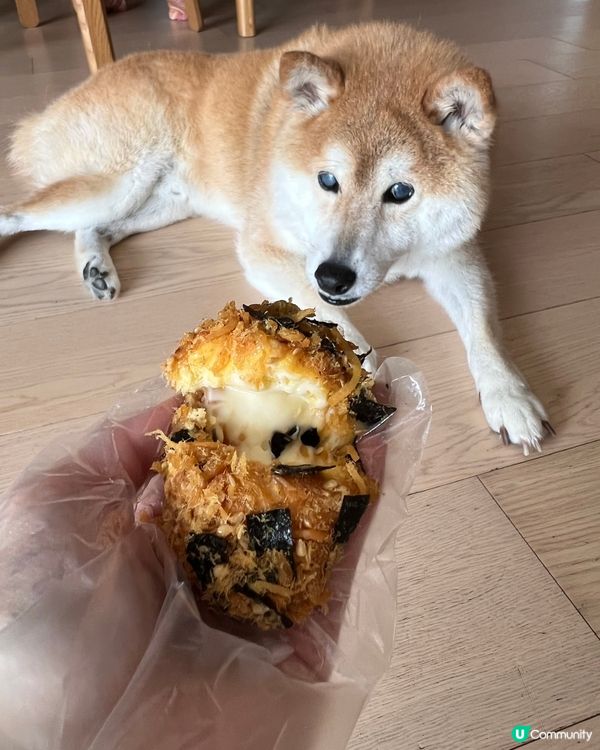 人氣紫菜肉鬆小貝