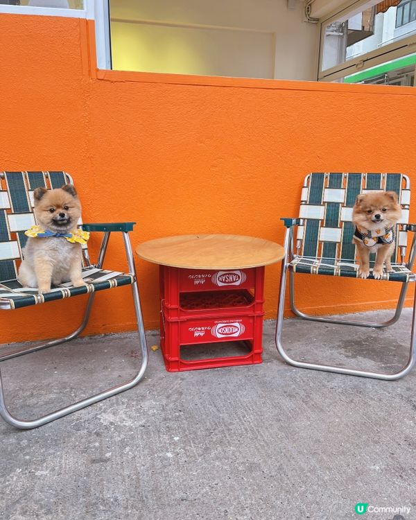 荃灣橙白petfriendly cafe🧡🤍