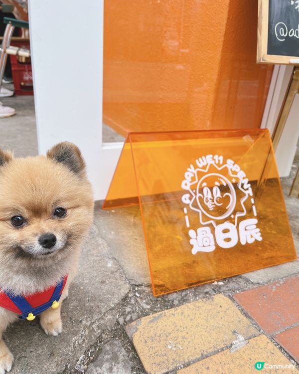 荃灣橙白petfriendly cafe🧡🤍