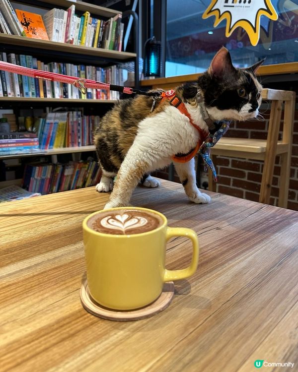 動物友善x本土農業x公平貿易☺️💓👍🏻