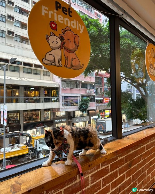 動物友善x本土農業x公平貿易☺️💓👍🏻