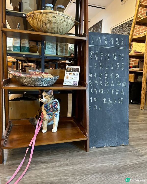 動物友善x本土農業x公平貿易☺️💓👍🏻