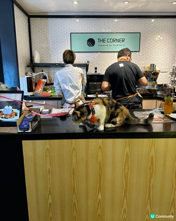 動物友善x本土農業x公平貿易☺️💓👍🏻