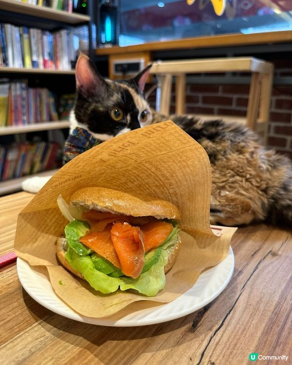 動物友善x本土農業x公平貿易☺️💓👍🏻