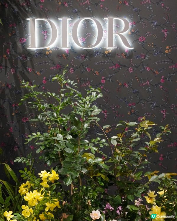 【首爾】Café Dior．聖水洞期間限定｜文迪．漫遊．