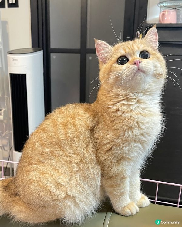 成10點先返屋企 想死了？ 