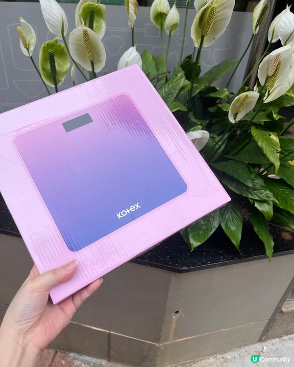 高潔絲 優惠💕