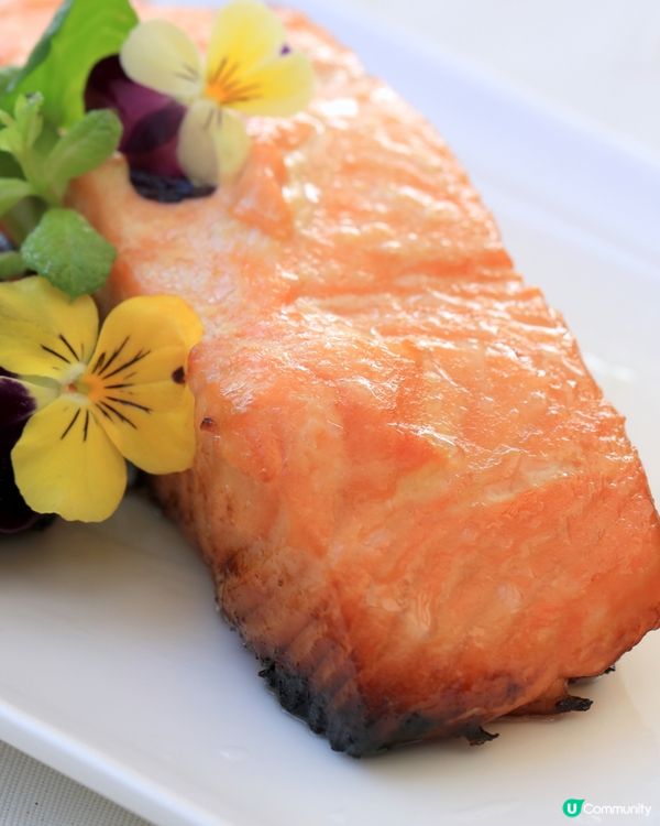 味噌香烤三文魚