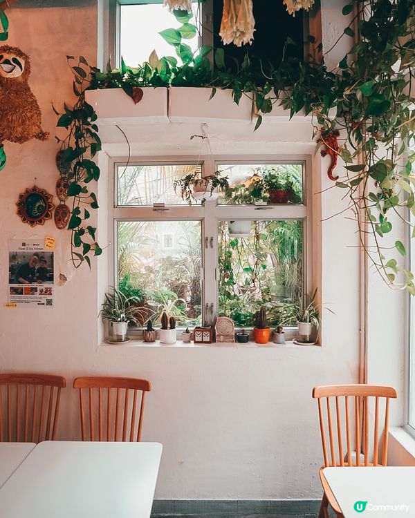 西環隱世墨西哥餐廳