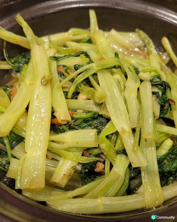 一人一隻乳鴿+中菜(4個大人+1小朋友+1個2歲幾)