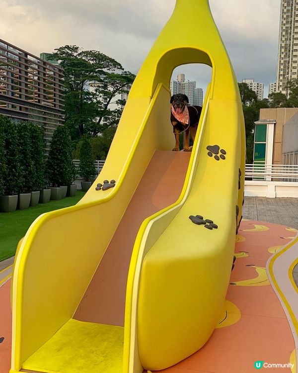 大埔寵物打卡熱點‼️