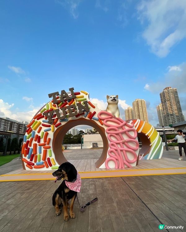 大埔寵物打卡熱點‼️