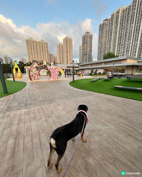 大埔寵物打卡熱點‼️