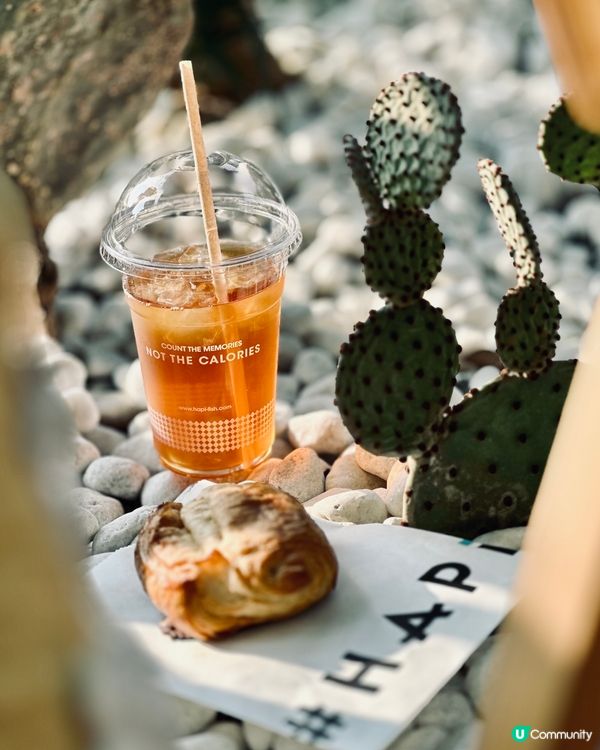 城市中的綠洲Cafe