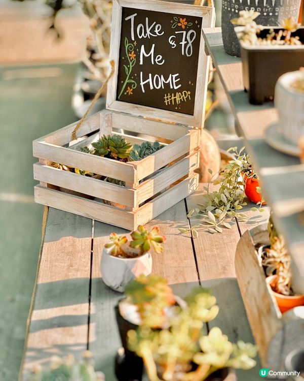 城市中的綠洲Cafe