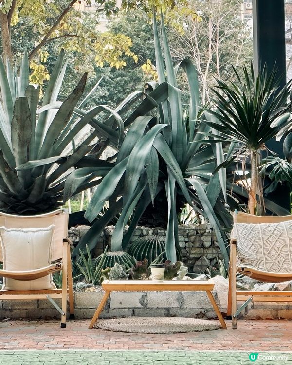 城市中的綠洲Cafe