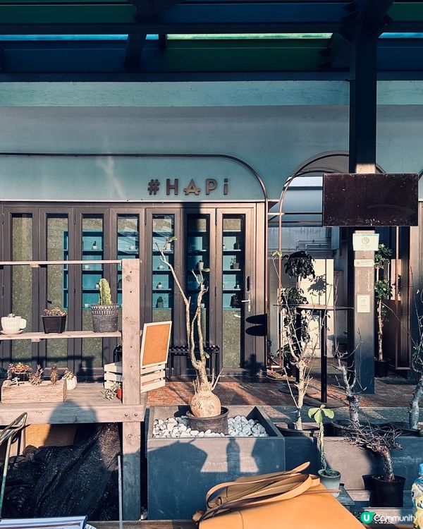 城市中的綠洲Cafe