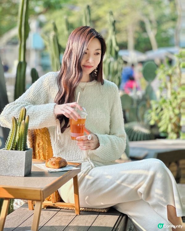 城市中的綠洲Cafe