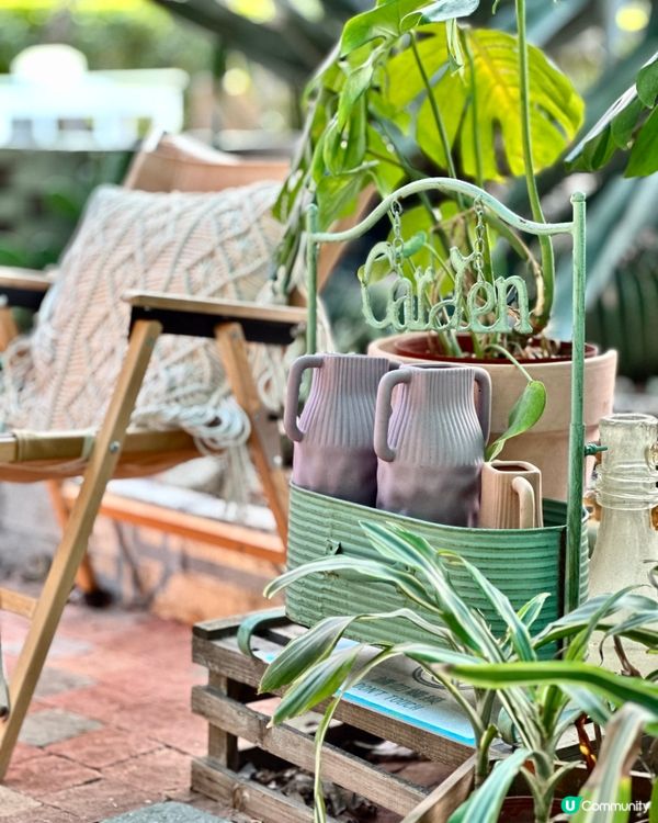 城市中的綠洲Cafe