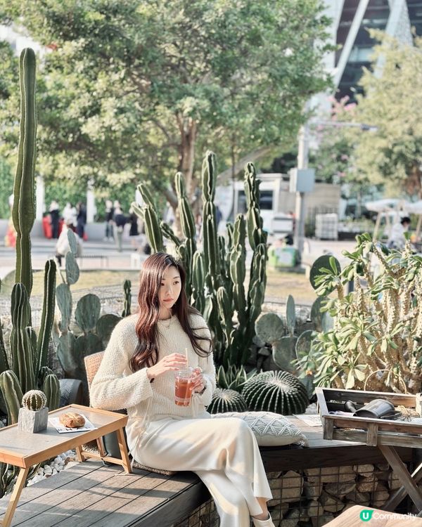 城市中的綠洲Cafe