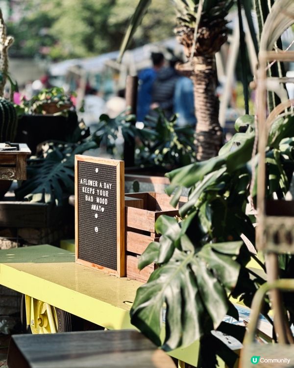 城市中的綠洲Cafe