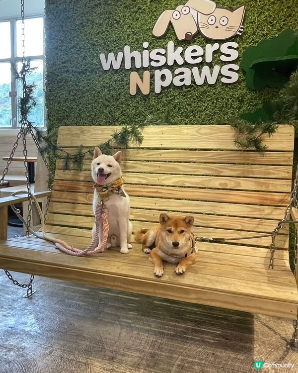 🍴Whiskers N Paws Cafe @whisker...