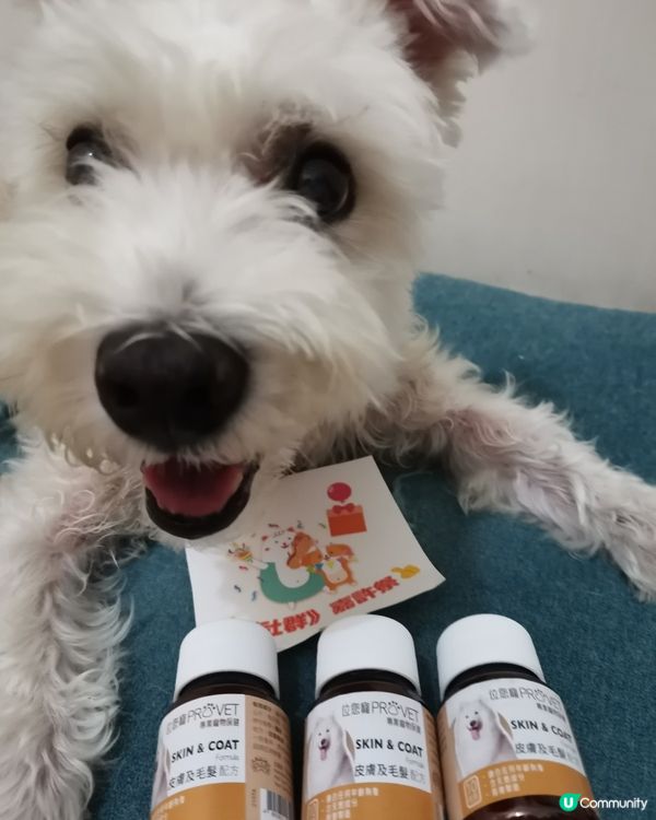 我係狗狗之星🤩