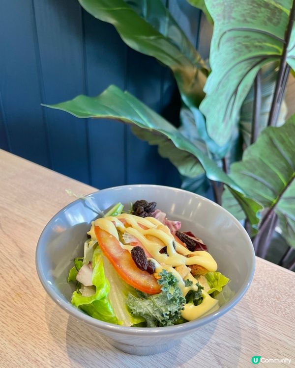 ᪥圖書館中的悠閑午餐᪥